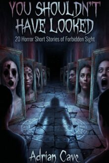 Paranormal horror books collection featuring twenty slow-burn stories about forbidden sights, supernatural encounters, haunted reflections, mysterious shadows, eerie CCTV footage, a terrifying baby monitor, cosmic phenomena, and ancient forces awakening in the wilderness. You Shouldn't Have Looked explores the chilling moment when the paranormal presence you are watching suddenly looks back.